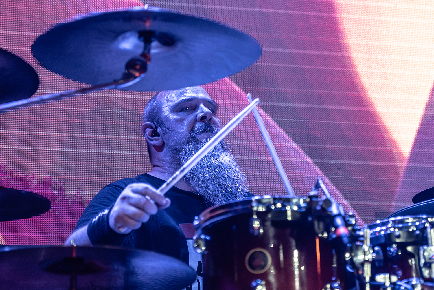 Tankard - Kings of Beer Over Latin America 2026